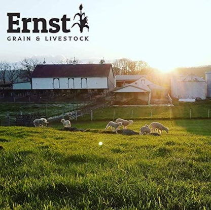 Feed Grade Oats Bulk 46 Pound Bag