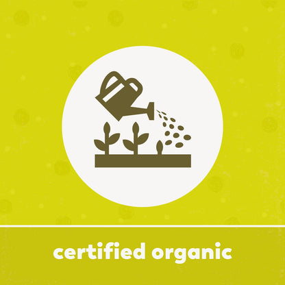 Organic Oat Groats Whole Grain Pantry Staple