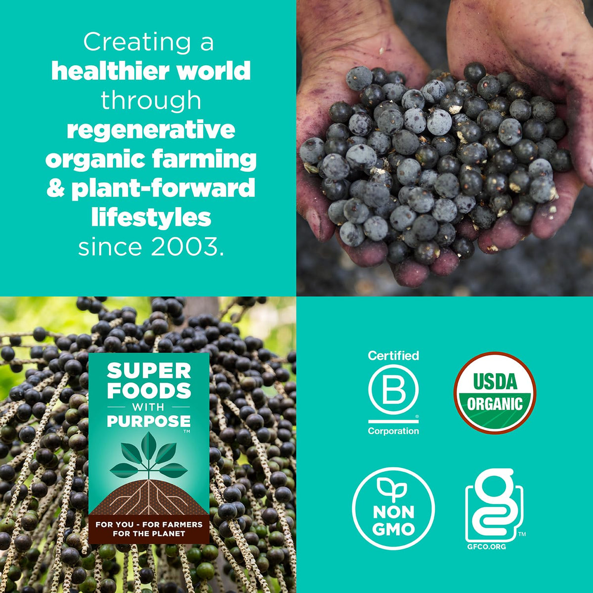 Organic Superfood Bites Plant-Based Energy Snack