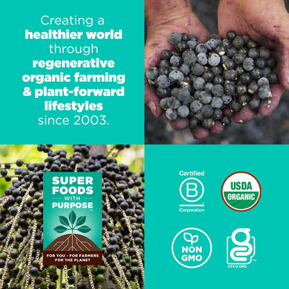 Organic Superfood Bites Plant-Based Energy Snack