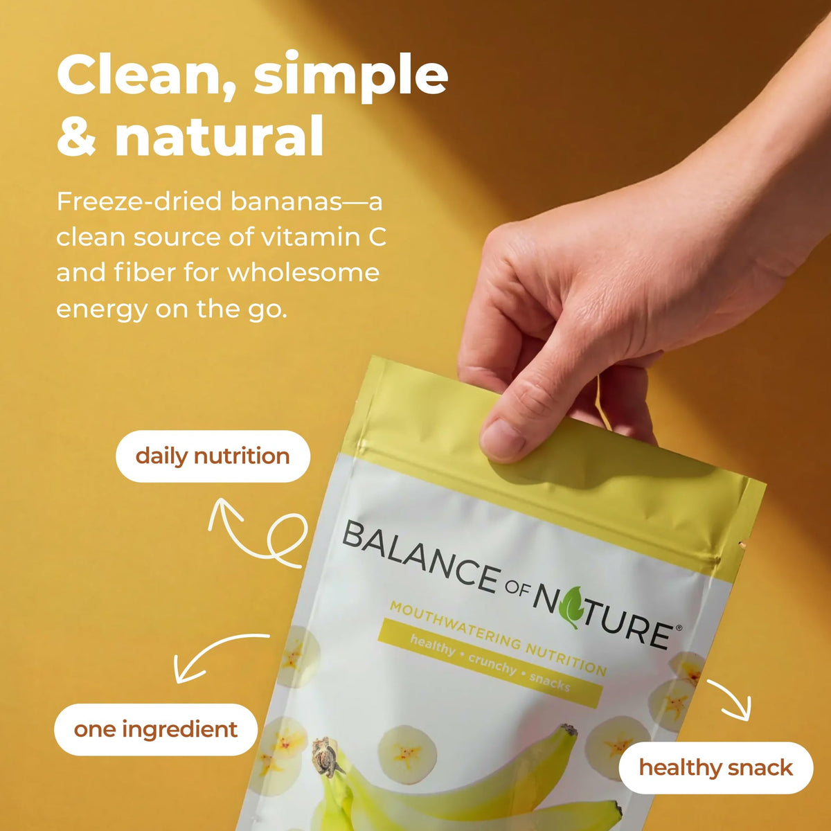 Freeze-Dried Fruit Vegan Snack
