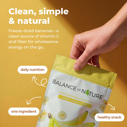 Freeze-Dried Fruit Vegan Snack