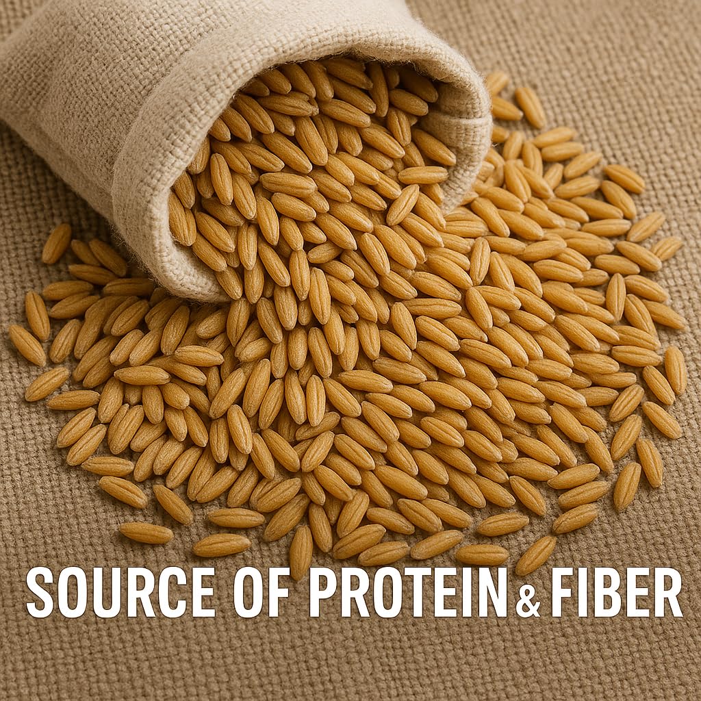 Organic Oats Whole Grain Breakfast Staple