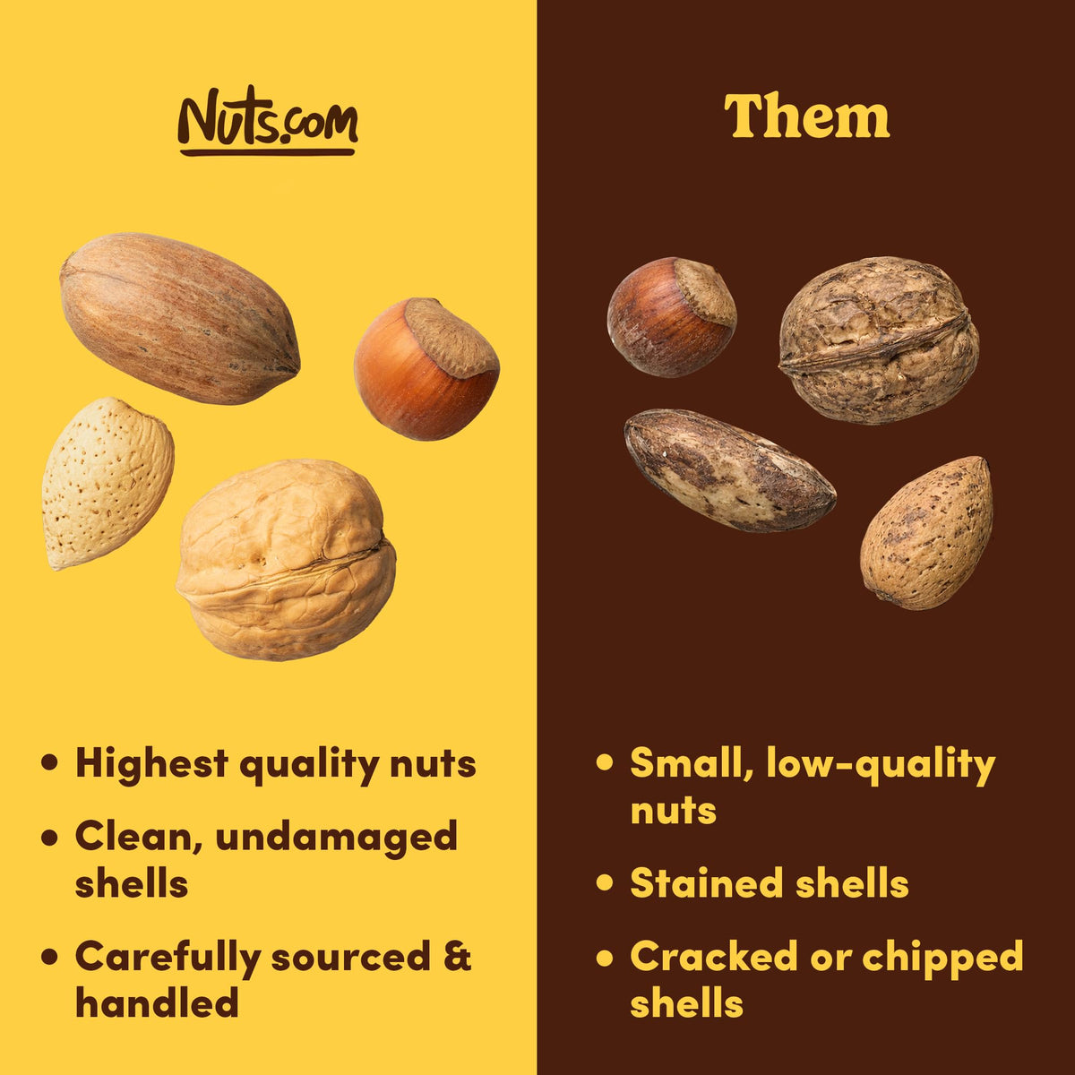 Mixed Nuts in Shell Natural Four-Nut Variety