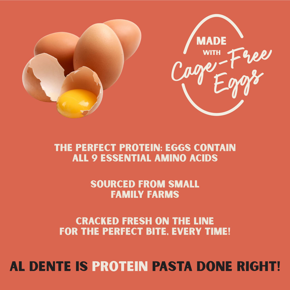 Protein Fettuccine 30g Protein Lower Carb