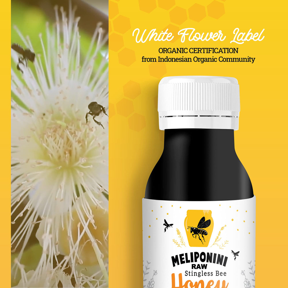 Raw Stingless Bee Honey Sweet and Tangy Flavor