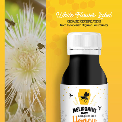 Raw Stingless Bee Honey Sweet and Tangy Flavor