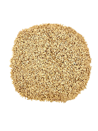 Whole Grain Oat Groats USA Grown 20 Pound Bucket