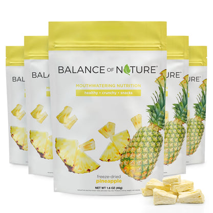 Freeze-Dried Fruit Vegan Snack