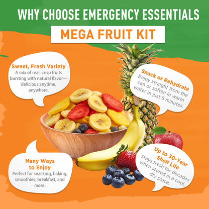Freeze-Dried Fruit Variety Kit 119 Servings