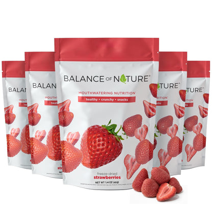 Freeze-Dried Fruit Vegan Snack