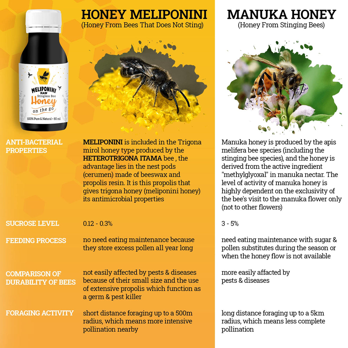 Raw Stingless Bee Honey Sweet and Tangy Flavor