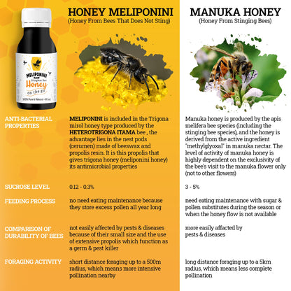Raw Stingless Bee Honey Sweet and Tangy Flavor
