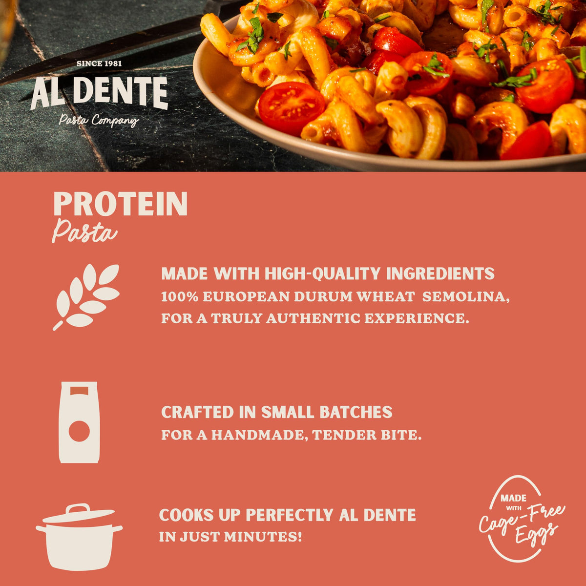 Protein Fettuccine 30g Protein Lower Carb