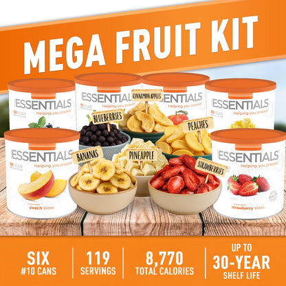 Freeze-Dried Fruit Variety Kit 119 Servings