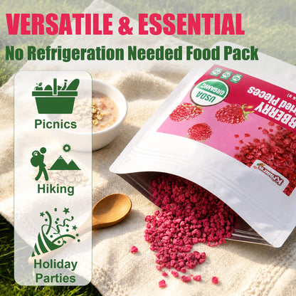 Freeze-Dried Raspberries Crispy Fruit Snack