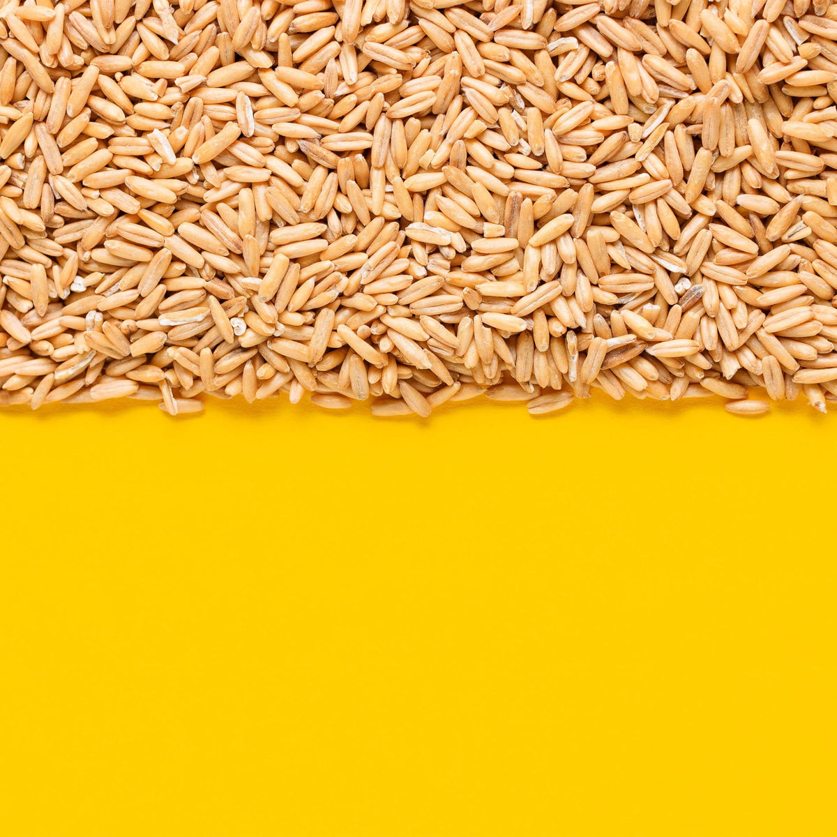 Organic Oat Groats Whole Grain Pantry Staple