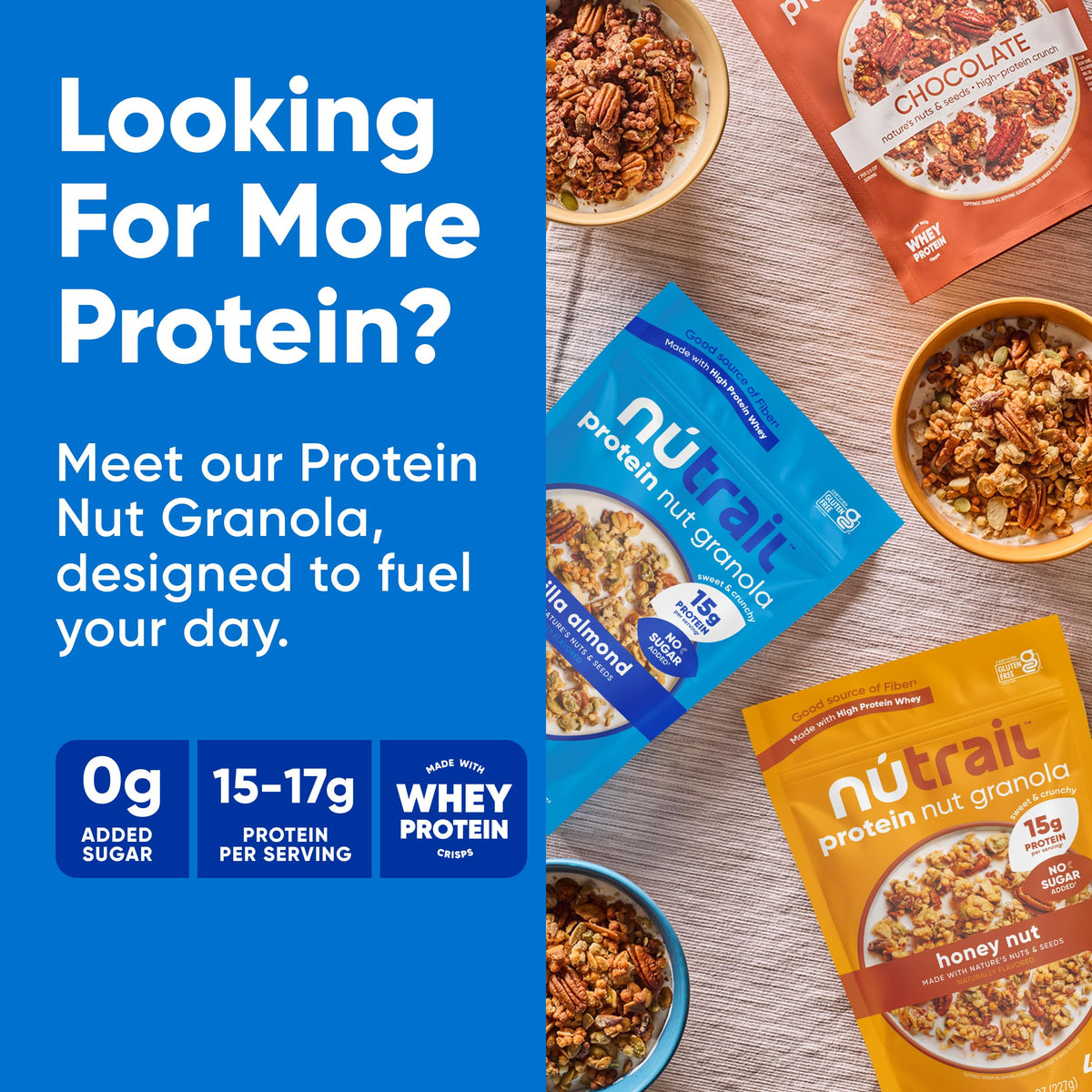 Blueberry Nut Granola Low-Carb Crunchy Blend