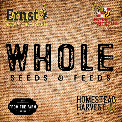 Feed Grade Oats Bulk 46 Pound Bag
